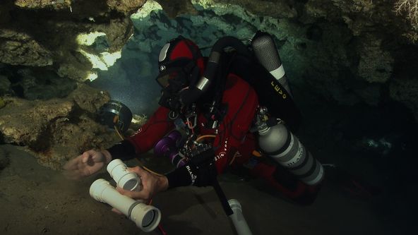 Setkání s živoucí fosílií - latimérií