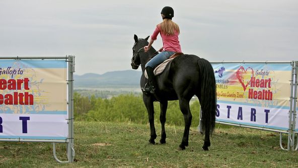 Ranč Heartland IV (1)