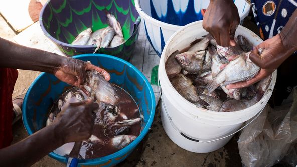 Anthony Bourdain: Neznámé končiny XII (6)