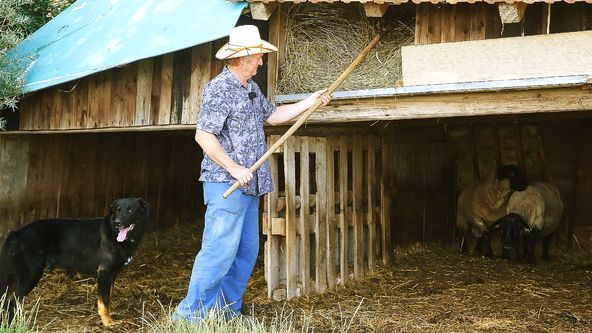 Farmář hledá ženu