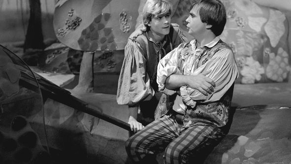 Království stromů