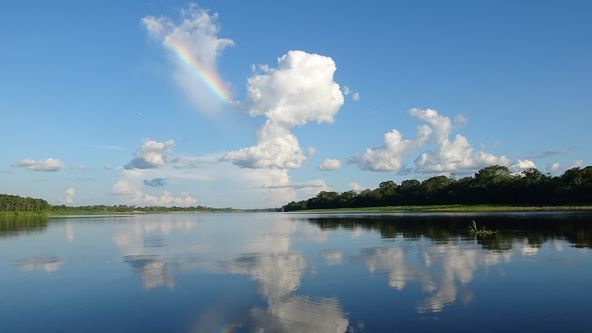 Království divočiny: Delfínovec amazonský, Amazonie