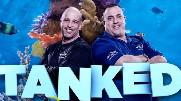 Akvária na míru IV (10)