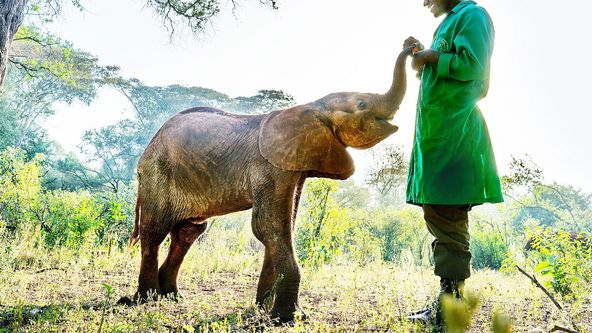 Dokonalá planeta (5/5)