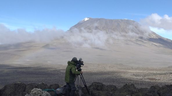 Království divočiny: Slon africký, Tanzanie