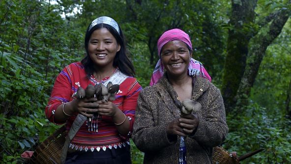 Čína na jazyku II (5/8)