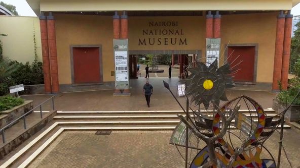 Zvířecí odysea (5)