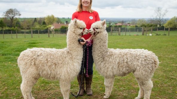 Veterinář z Yorkshiru IV (2)