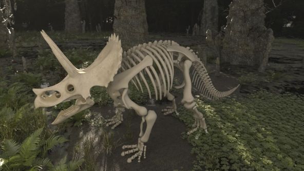 Odhalená ztracená zvířata (3)