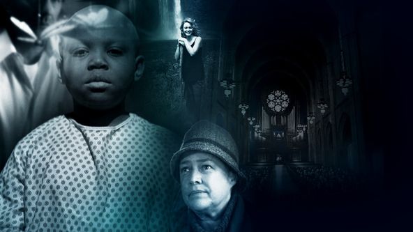 Na křídlech vážky