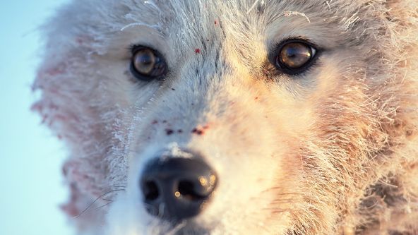 Dokonalá planeta (2/5)