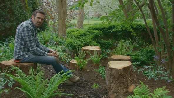 Zahradníkův svět X (20)