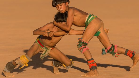 Těžký osud starých kmenů