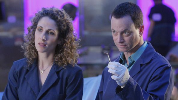 Kriminálka New York II (19)