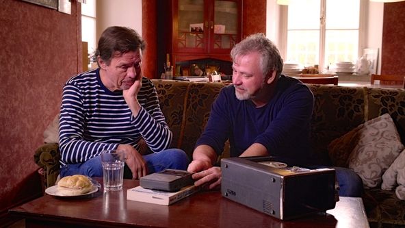 Sny o toulavých kočkách