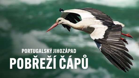 Portugalský jihozápad - pobřeží čápů