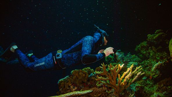 Velká útesová bariéra - nová generace