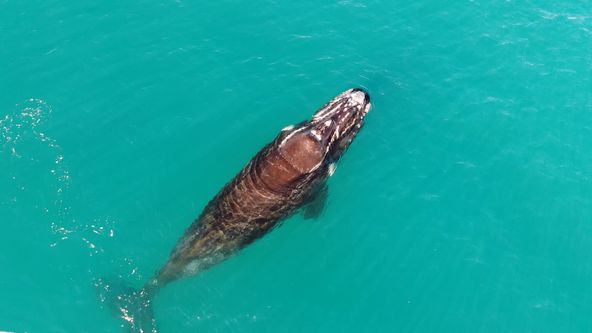 Neobyčejná Austrálie (2)