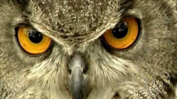 Oblasti ptačí a lidské aneb Natura paradoxa