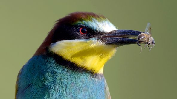 Slovinsko: nedotčená příroda