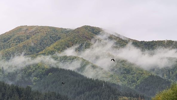 Po kolejích dávných železnic (3)