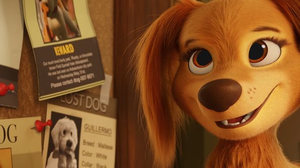 Tlapková patrola ve filmu