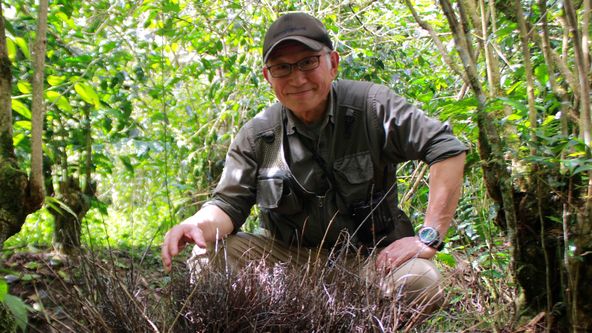 Království divočiny: Rajky, Papua Nová Guinea