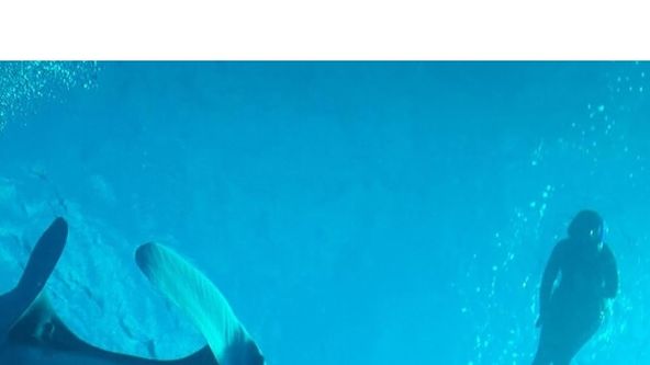 Věčná planeta: Hrdinové oceánů