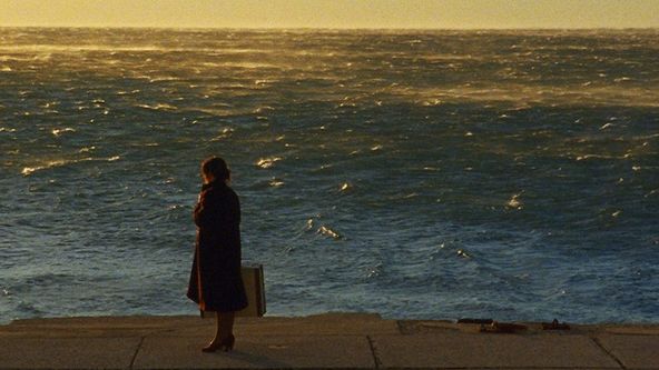 Příběhy z kaštanových lesů