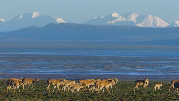 Tibet: Střecha světa