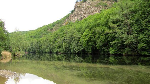 Divočina bez hranic