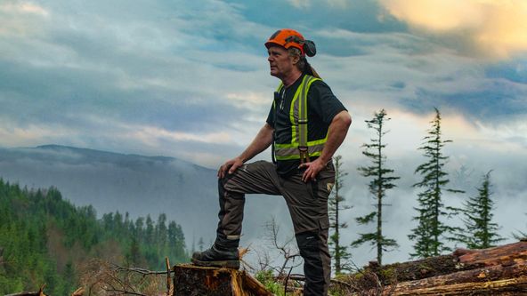 Dřevo nad zlato II (6)