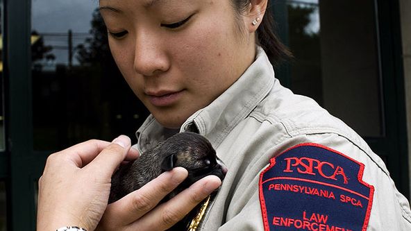 Veterinární policie Filadelfie XII (13)
