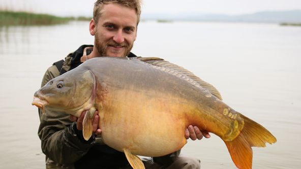 Kapří monstra VII (2)