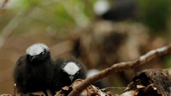 Modrá planeta - další expedice (3/4)