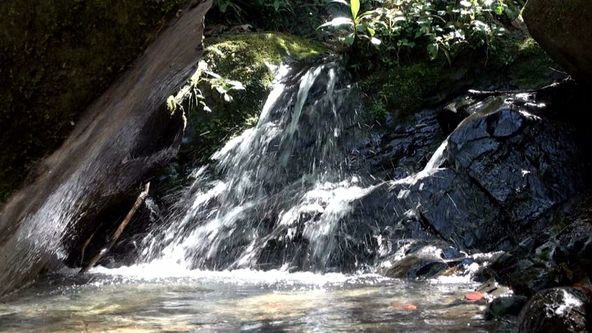 Království divočiny: Rajky, Papua Nová Guinea