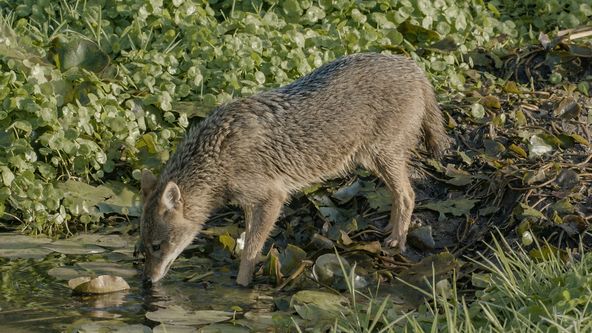 Izrael, země kontrastů (1/2)