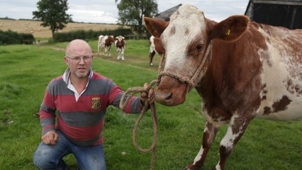 Veterinář z Yorkshiru VIII (1)