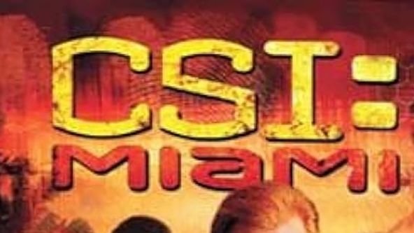 Kriminálka Miami II (13)