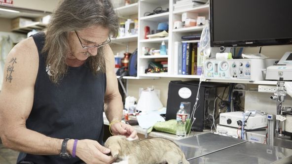 Dr. Jeff: Veterinář ze Skalnatých hor (7)