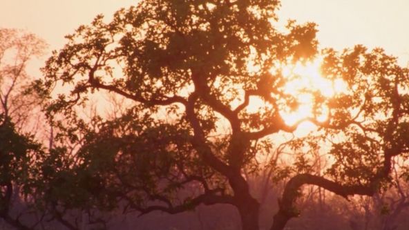 Život ve vedrech: Afrika (2)