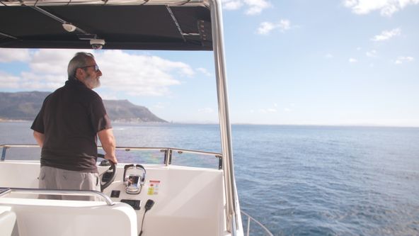 Kosatka versus žralok zabiják