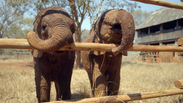 Afrika z výšky (1)