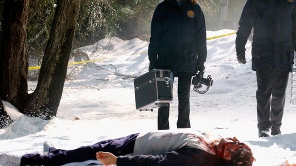 Kriminálka New York (13)