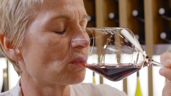 Milovníci vína (12/12)