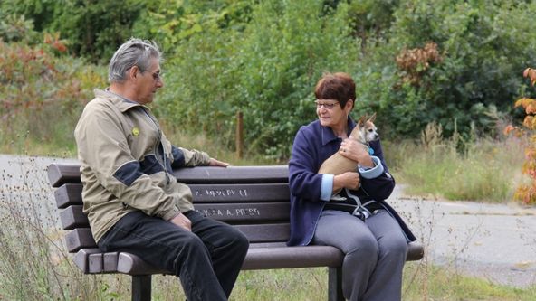 Zlý sen v sousedním domě II (11)