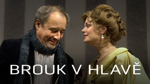 Brouk v hlavě, Z první řady...