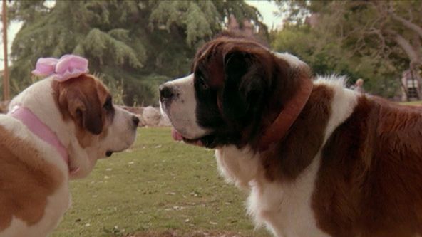 Beethoven 2