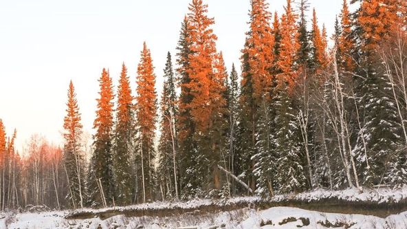 Poslední obyvatelé Aljašky (1)