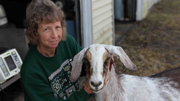 Skvělý dr. Pol XVI (17)